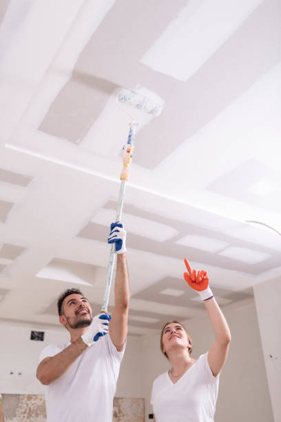 Dehumidification Services in Grayling, MI