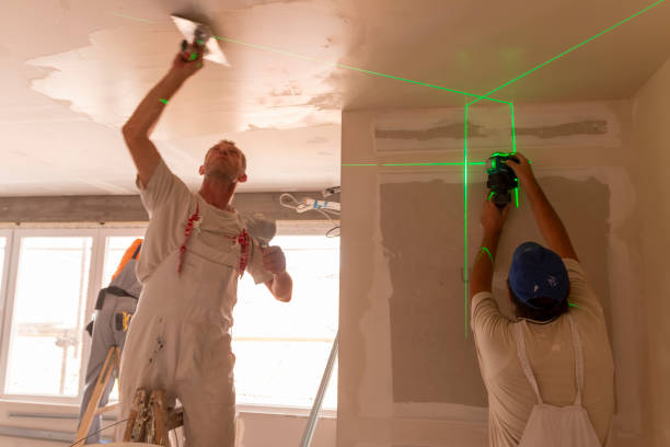 Best Airborne Mold Testing  in Grayling, MI
