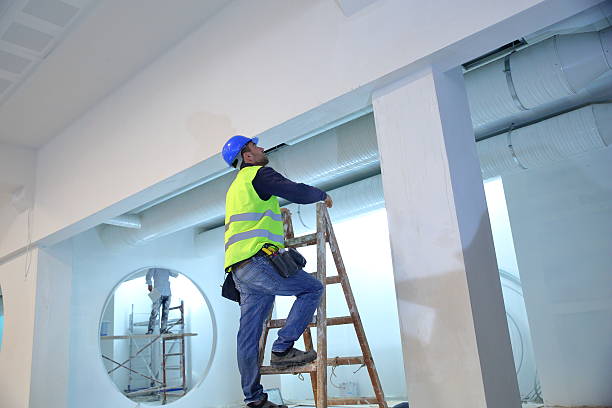 Mold Documentation for Insurance Claims in Grayling, MI