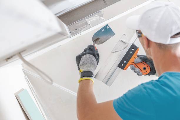 Best Mold Remediation for Healthcare Facilities  in Grayling, MI